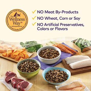 Wellness Complete Health Grain-Free Dry Dog Food, Natural Ingredients, Made in USA with Real Meat, For All Lifestages (Chicken, 24-Pound Bag)