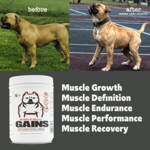 Muscle Bully Gains - Mass Weight Gainer for Dogs, Whey Protein, Flax Seed (for Bull Breeds, Pit Bulls, Bullies) Increase Healthy Natural Weight, Made in The USA (90 Servings)