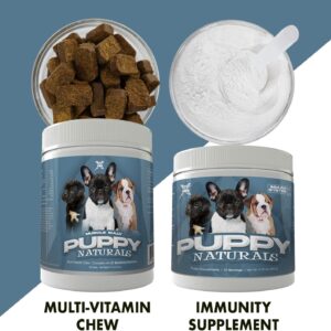 Muscle Bully Puppy Naturals | Muscle Building Immunity Milk Replacer + 10 in 1 Puppy MultiVitamin Nutrient Chew | Veterinarian Formulated. Nutritional Support for Growing Puppies (60 Servings).