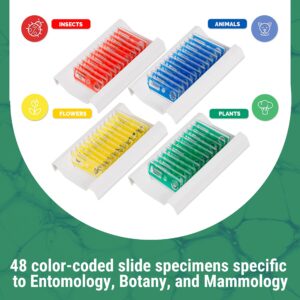 AmScope - 48pc Kids Plastic Prepared Microscope Slides of Animals, Insects, Plants, Flowers, Sample Specimens for Student Microscopes - PS-4P12X1-A