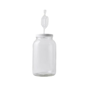 fastrack 4x-qad4-r06s one gal wide mouth jar with lid and twin bubble airlock, clear