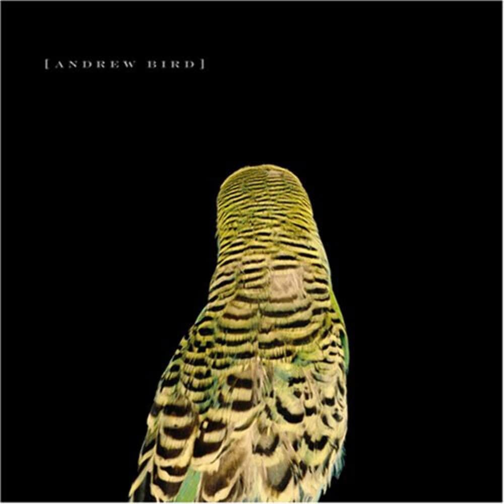 Andrew Bird - Armchair Apocrypha (Vinyl/LP)