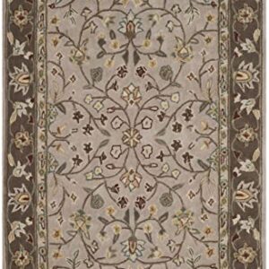 SAFAVIEH Total Performance Collection Accent Rug - 3' x 5', Ivory & Taupe, Hand-Hooked Oriental, Non-Shedding & Easy Care, Ideal for High Traffic Areas in Entryway, Living Room, Bedroom (TLP722B)