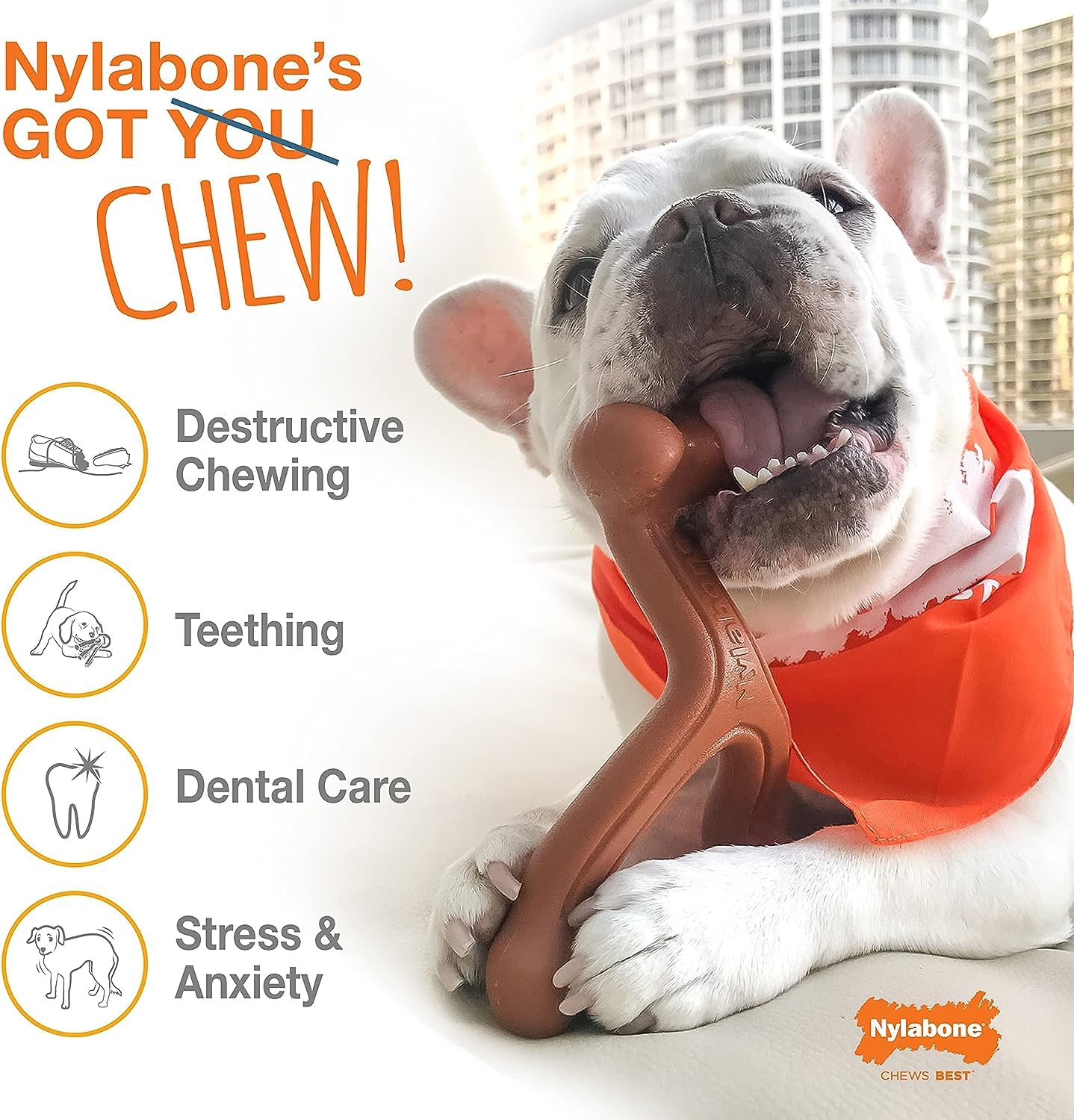 Nylabone Dura Chew Nylon Antler Dog Chew Toy, Large (4 Pack)