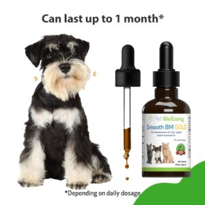 Pet Wellbeing Smooth BM Gold for Dogs - Vet-Formulated - Gentle Constipation Relief for Canines - Natural Herbal Supplement 2 oz (59 ml)