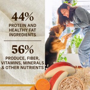 Merrick Healthy Grains Premium Adult Dry Dog Food, Wholesome And Natural Kibble With Chicken And Brown Rice - 4.0 lb. Bag