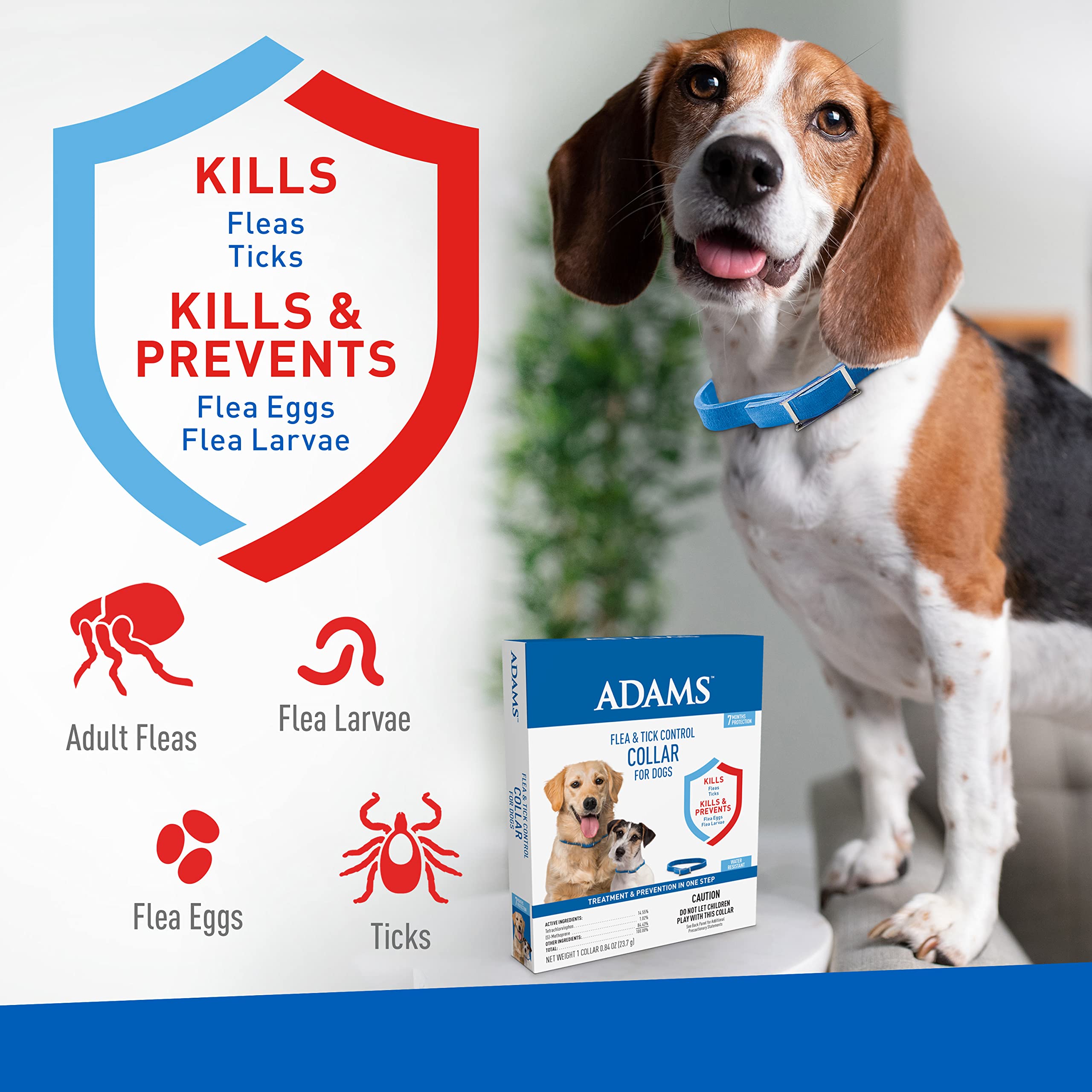 Adams Flea & Tick Control Collar for Dogs, 7-Month Protection, Adjustable One Size Collar Fits All, Kills and Repels Fleas, Ticks, Flea Eggs & Flea Larvae