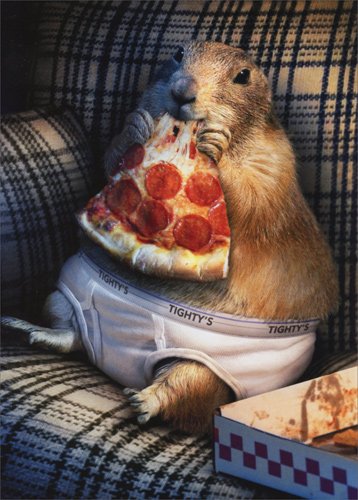 Prairie Dog in Underwear - Avanti Funny Birthday Card