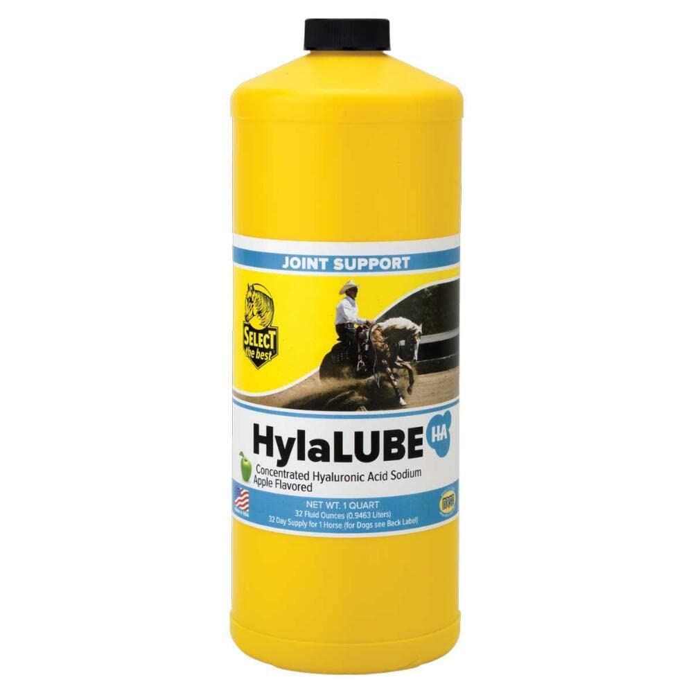 RICHDEL HylaLube, 1 Quart, Concentrated Hyaluronic Acid Sodium Animal Joint Support Supplement