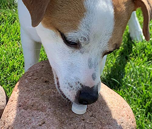 Stool Eating Deterrent with Yucca Schidigera Extract for Dogs