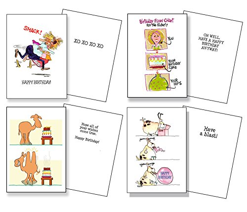 Stonehouse Collection 48 Different Funny Birthday Cards - Assorted Birthday Card Box Set of 48 Card & Envelopes