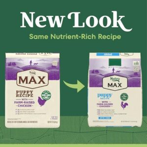 NUTRO MAX Puppy Recipe Dry Dog Food With Farm-Raised Chicken, 12 LB Bag