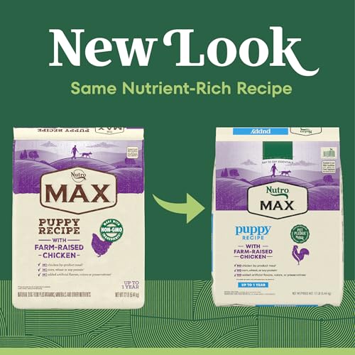 NUTRO MAX Puppy Recipe Dry Dog Food With Farm-Raised Chicken, 12 LB Bag