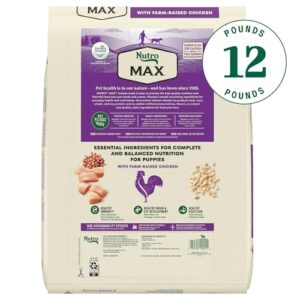 NUTRO MAX Puppy Recipe Dry Dog Food With Farm-Raised Chicken, 12 LB Bag