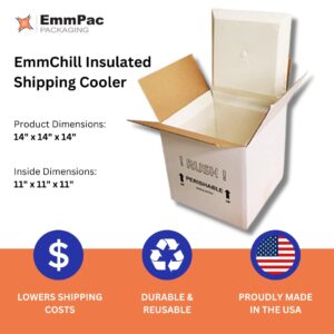 EmmChill SF14A Insulated Shipping Cooler, 14" x 14" x 14" (Inside 11" x 11" x 11")