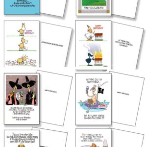 Stonehouse Collection 48 Different Funny Birthday Cards - Assorted Birthday Card Box Set of 48 Card & Envelopes