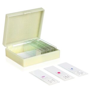 Vision Scientific VSH112 Microscope Prepared Slide Set – Human Physiology (Set of 16) | Slides are Clearly Labeled for Easy Identification | Specimens are Cover Slip Sealed