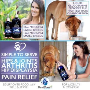 Best Paw Nutrition - Unflavored Liquid Glucosamine for Dogs & Cats - Chondroitin, MSM, Hyaluronic Acid - Dog Arthritis Home Remedy - Joint Supplement for Hip & Joint Pain Relief Pets Love - 32oz