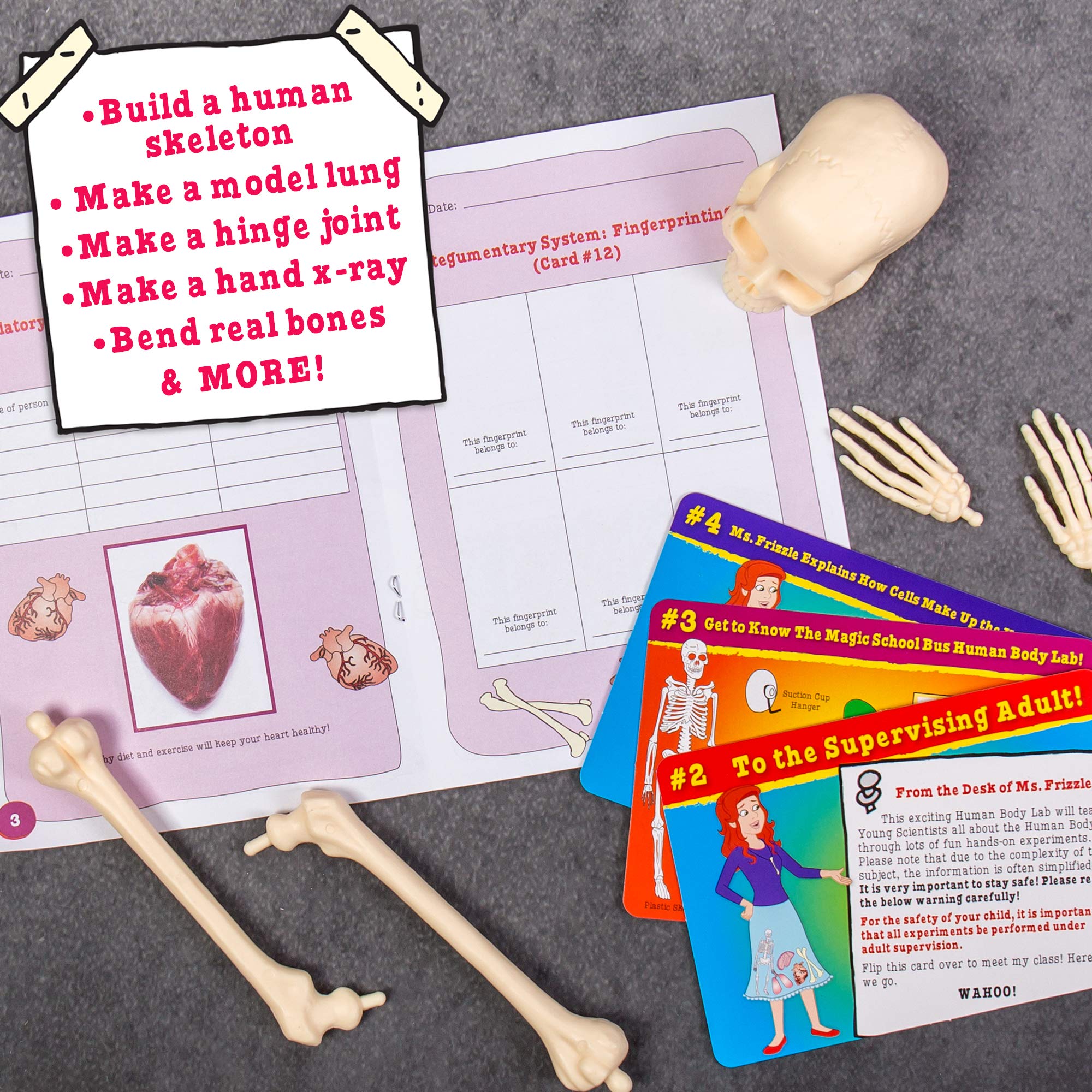 The Magic School Bus:Human Body Lab By Horizon Group USA,Homeschool STEM Kit,Includes Hands-On Educational Manual,Experiment Cards,Plastic Human Skeleton,Data Notebook,Hinge Joint Model & More ,Yellow