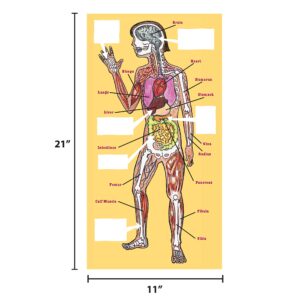 The Magic School Bus:Human Body Lab By Horizon Group USA,Homeschool STEM Kit,Includes Hands-On Educational Manual,Experiment Cards,Plastic Human Skeleton,Data Notebook,Hinge Joint Model & More ,Yellow