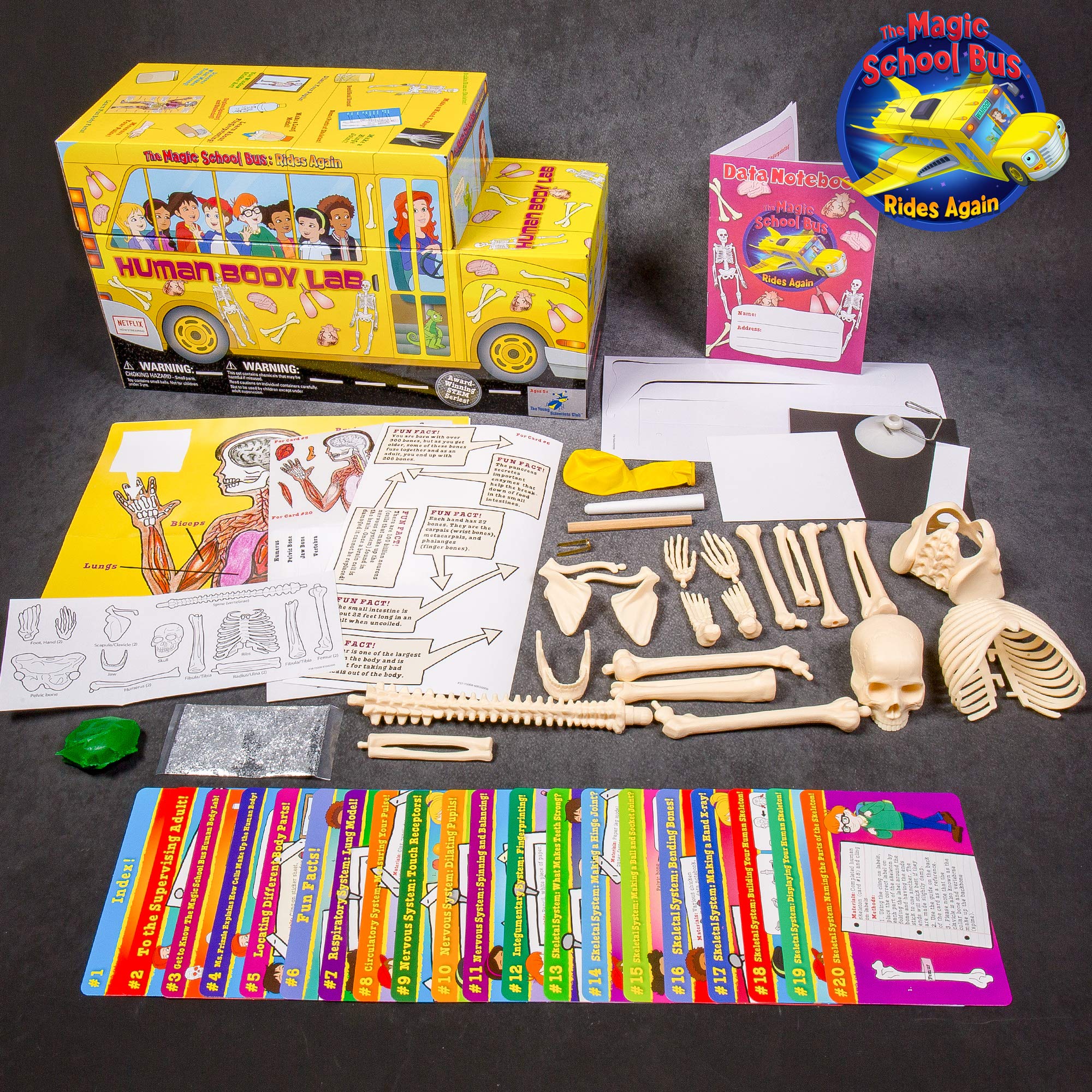 The Magic School Bus:Human Body Lab By Horizon Group USA,Homeschool STEM Kit,Includes Hands-On Educational Manual,Experiment Cards,Plastic Human Skeleton,Data Notebook,Hinge Joint Model & More ,Yellow