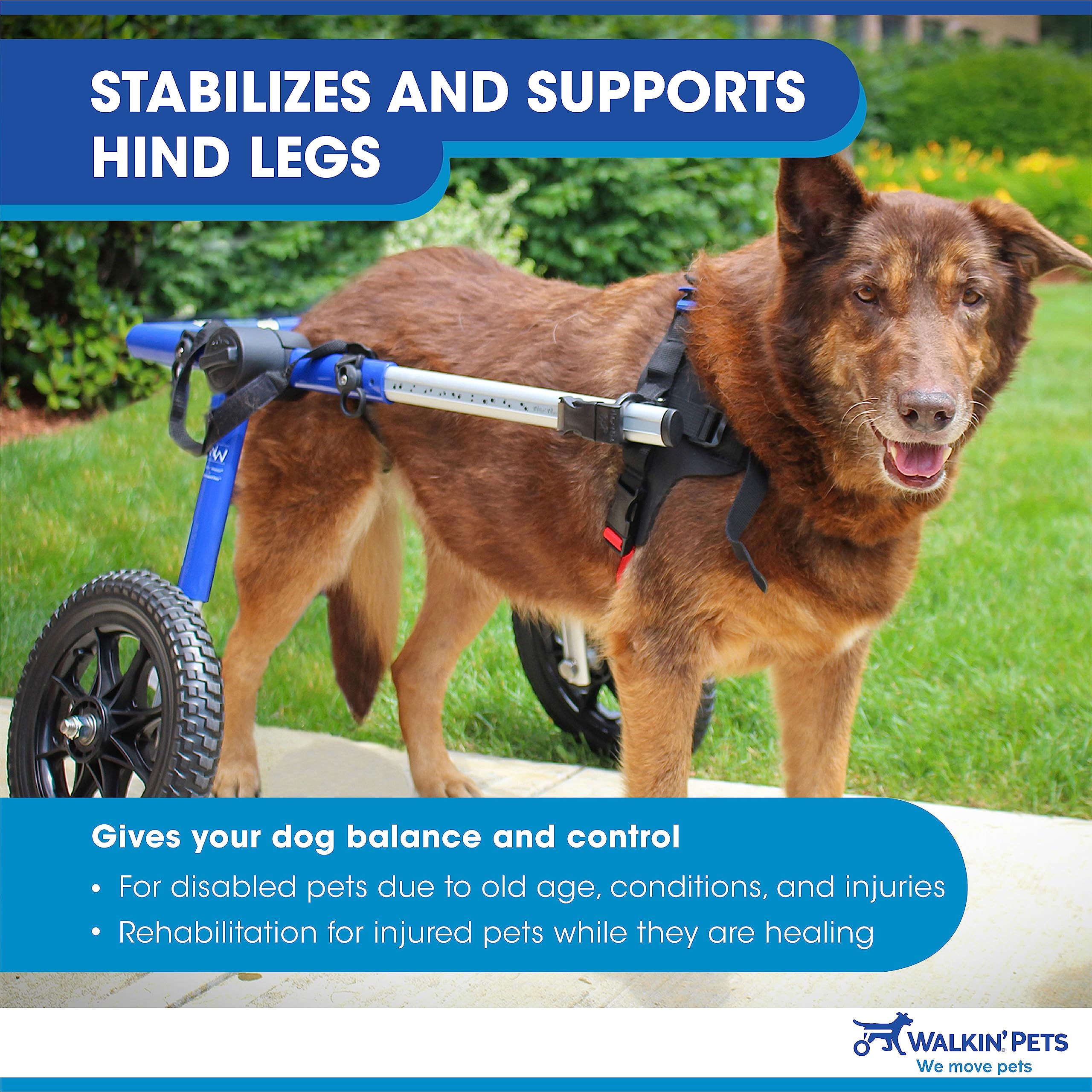 Walkin' Wheels Dog Wheelchair - for Large Dogs 70-180 Pounds - Veterinarian Approved - Dog Wheelchair for Back Legs