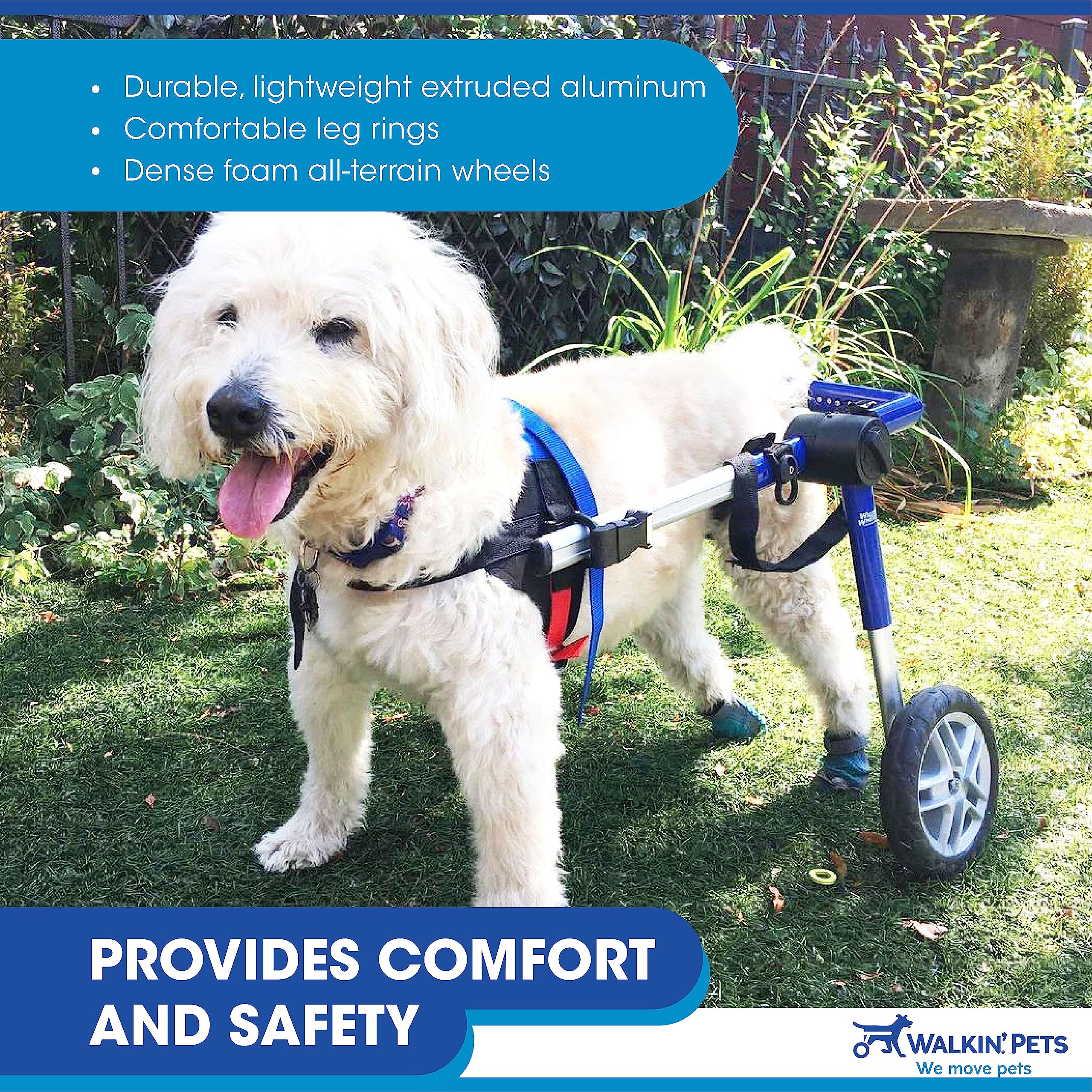 Walkin' Wheels Dog Wheelchair - for Medium Dogs 26-49 lbs - Veterinarian Approved - Dog Wheelchair for Back Legs