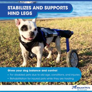 Walkin' Wheels Dog Wheelchair - for Medium Dogs 26-49 lbs - Veterinarian Approved - Dog Wheelchair for Back Legs