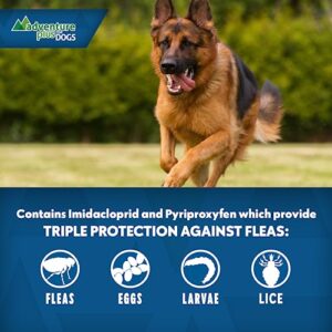 Adventure Plus Triple Flea Protection for Dogs – Spot on Flea & Tick Prevention for Dogs – For Extra Large Dogs 55+lbs – 4 Doses