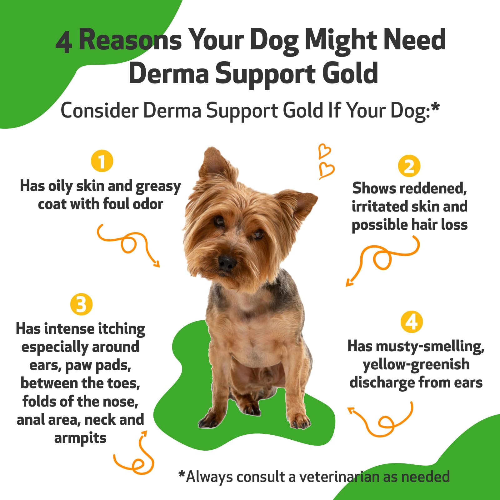 Pet Wellbeing Derma Support Gold for Dogs - Normal Skin Yeast Balance, Occasional Itching, Healthy Odor, Baikal Skullcap, Phellodendron - Veterinarian-Formulated Herbal Supplement 2 oz (59 ml)