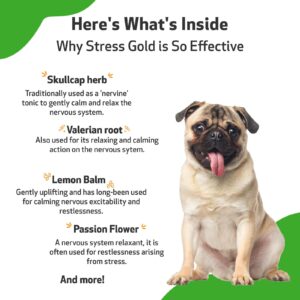 Pet Wellbeing Stress Gold for Dogs - Vet-Formulated - Calming and Relaxing Support for High-Stress Situations - Natural Herbal Supplement 2 oz (59 ml)