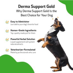 Pet Wellbeing Derma Support Gold for Dogs - Normal Skin Yeast Balance, Occasional Itching, Healthy Odor, Baikal Skullcap, Phellodendron - Veterinarian-Formulated Herbal Supplement 2 oz (59 ml)