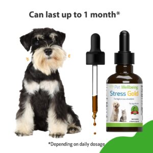 Pet Wellbeing Stress Gold for Dogs - Vet-Formulated - Calming and Relaxing Support for High-Stress Situations - Natural Herbal Supplement 2 oz (59 ml)