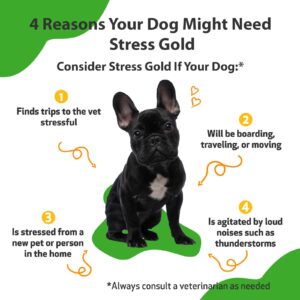 Pet Wellbeing Stress Gold for Dogs - Vet-Formulated - Calming and Relaxing Support for High-Stress Situations - Natural Herbal Supplement 2 oz (59 ml)