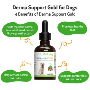 Pet Wellbeing Derma Support Gold for Dogs - Normal Skin Yeast Balance, Occasional Itching, Healthy Odor, Baikal Skullcap, Phellodendron - Veterinarian-Formulated Herbal Supplement 2 oz (59 ml)