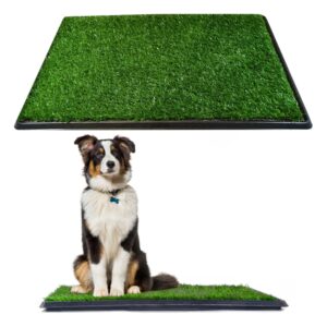 downtown pet supply dog grass pad with tray, 20 x 30 - outdoor and indoor potty system for dogs with replaceable synthetic grass pee turf - portable and waterproof turf dog potty