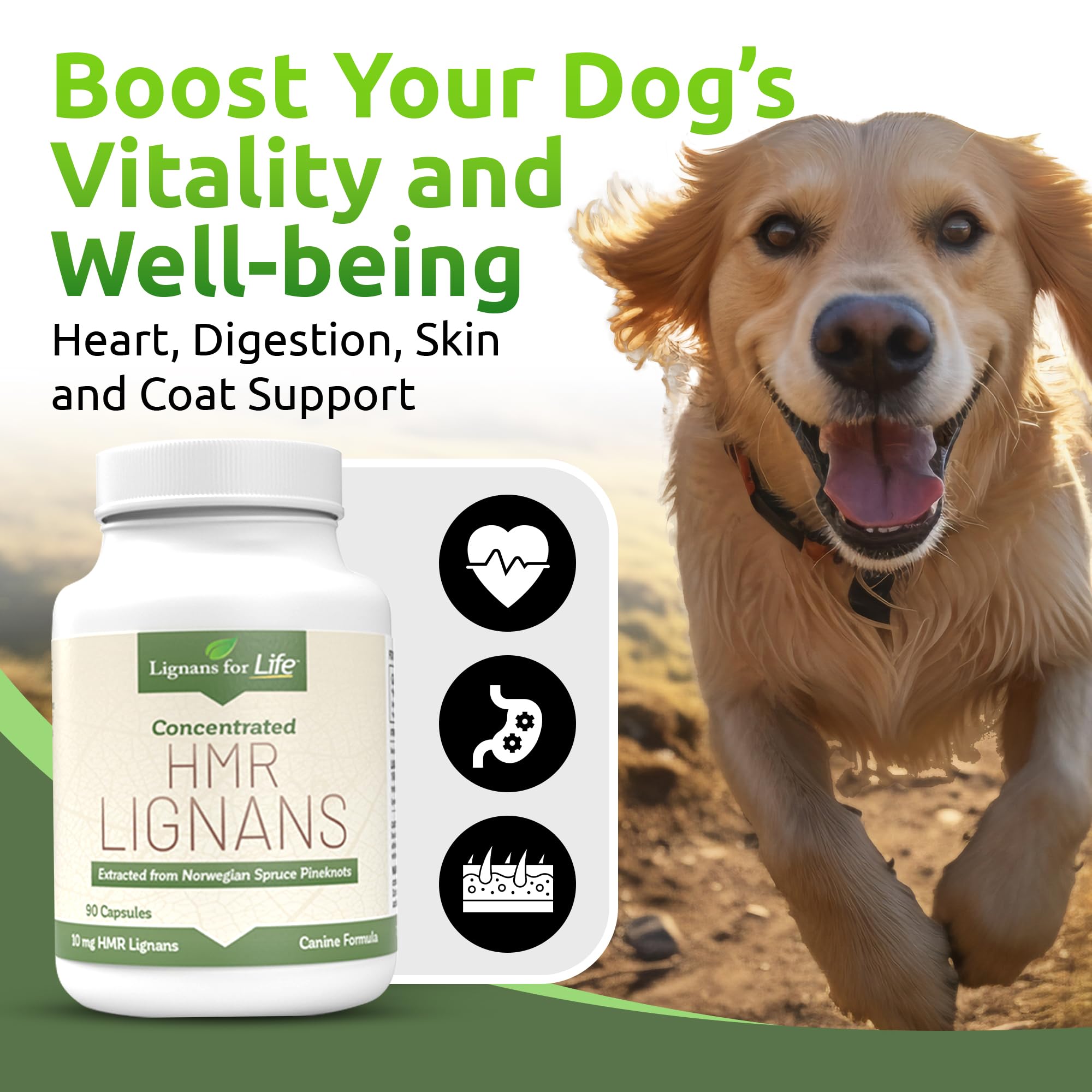 Lignans For Life HMR LIGNANS 10mg Capsules - Perfect for Small Dog Breeds - Dog Vitamin for Healthy Pet | Natural Dog Multivitamin | Dog Wellness Supplement | Pet Vitamin | Dog Nutritional Supplement