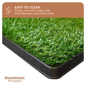 Downtown Pet Supply Dog Grass Pad with Tray, 20 x 30 - Outdoor and Indoor Potty System for Dogs with Replaceable Synthetic Grass Pee Turf - Portable and Waterproof Turf Dog Potty