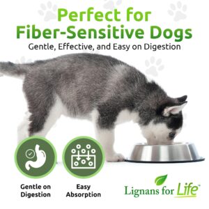 Lignans For Life HMR LIGNANS 10mg Capsules - Perfect for Small Dog Breeds - Dog Vitamin for Healthy Pet | Natural Dog Multivitamin | Dog Wellness Supplement | Pet Vitamin | Dog Nutritional Supplement