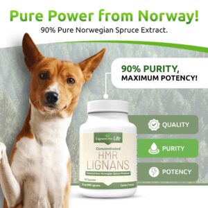 Lignans For Life HMR LIGNANS 10mg Capsules - Perfect for Small Dog Breeds - Dog Vitamin for Healthy Pet | Natural Dog Multivitamin | Dog Wellness Supplement | Pet Vitamin | Dog Nutritional Supplement