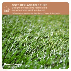 Downtown Pet Supply Dog Grass Pad with Tray, 20 x 30 - Outdoor and Indoor Potty System for Dogs with Replaceable Synthetic Grass Pee Turf - Portable and Waterproof Turf Dog Potty