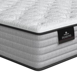 Kingsdown Passions Imagination Plush Mattress, King