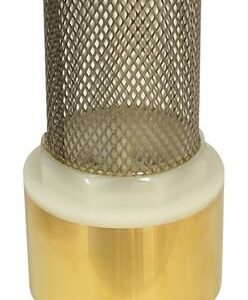 Fleximatic 4558 Brass Pichancha 1", Stainless Steel Filter