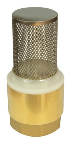 Fleximatic 4558 Brass Pichancha 1", Stainless Steel Filter