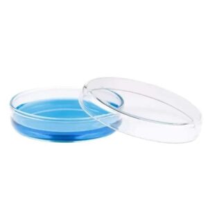 BIPEE Polystyrene Petri Dish 60 x 15mm, Sterile, Pack of 10,Plastic Petri Dishes with Lids ， Mold Testing kit，Mycology Supplies agar Plates- Perfect for Cell Culture and Microbiology Experiments