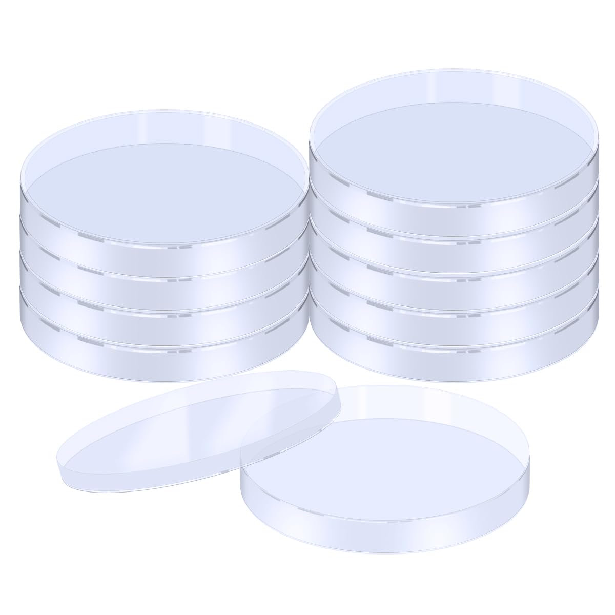 10 Pack Plastic Petri Dishes with Lid, 120mm Dia x 15mm Deep, Lab Petri Plate Dish for Lab Analysis, School Projects, Plant & Seed Cultivation Petri Dish