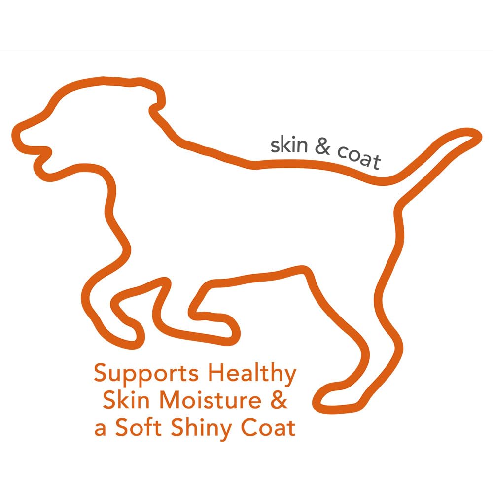 Vet's Best Skin & Coat Soft Chew Dog Supplements | Formulated with Vitamin E and Biotin to Maintain Dogs Healthy Skin and Coat | 30 Day Supply