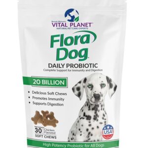 Vital Planet - Flora Dog Probiotics, Dog Chews Supplement with 20 Billion Cultures and 11 Strains, Immune and Digestive Support Chewable Probiotics for Dogs, 30 Natural Bacon Flavored Soft Chews