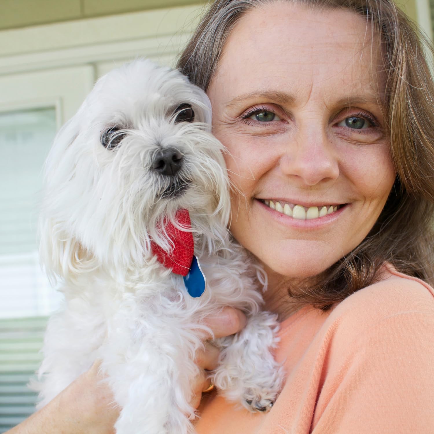 Petpost | Tear Stain Remover Comb for Dogs - Extra Fine Tooth Rake Gently & Effectively Gets Rid of Crust, Mucus, and Gunk Around Your Shih Tsu or Maltese Blue