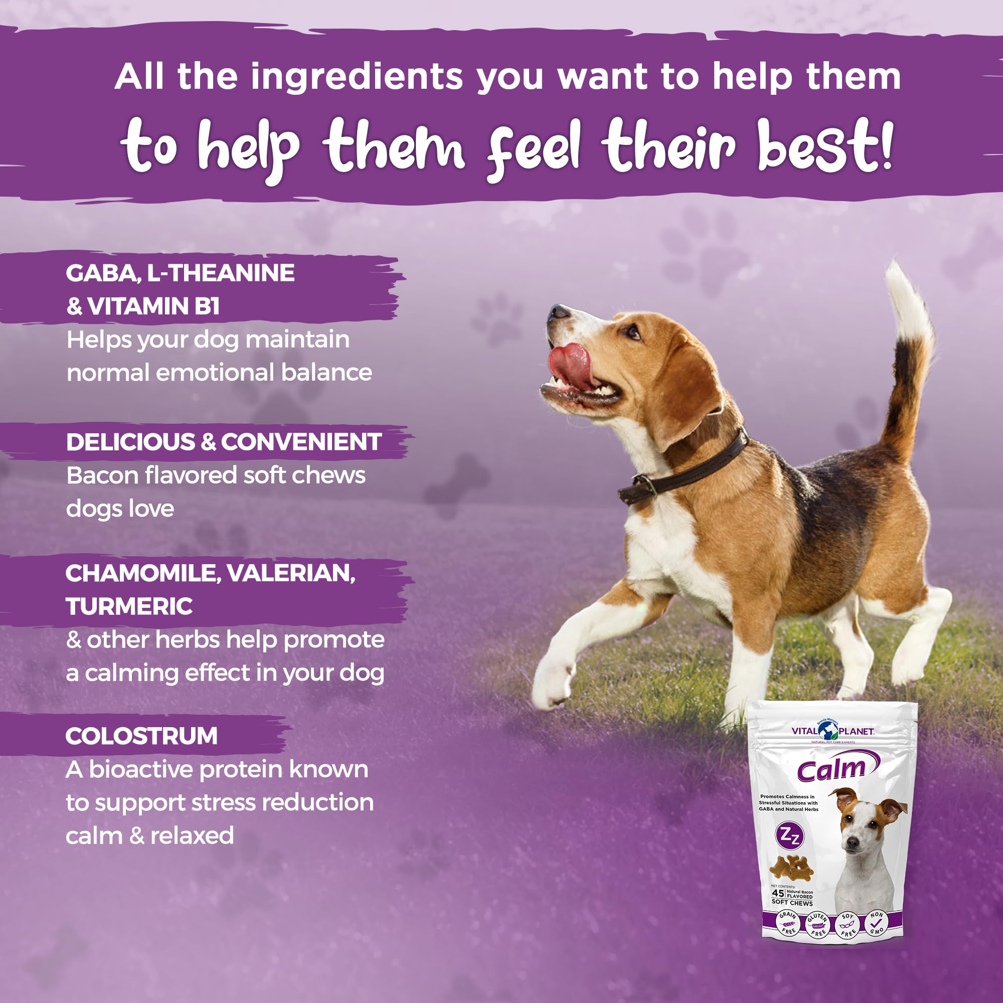 Vital Planet - Calm Soft Chews for Dogs, Promotes Calmness in Stressful Situations with GABA, Colostrum, Valerian, Turmeric, Chamomile, and L-Theanine - 45 Natural Bacon Flavored Soft Chews